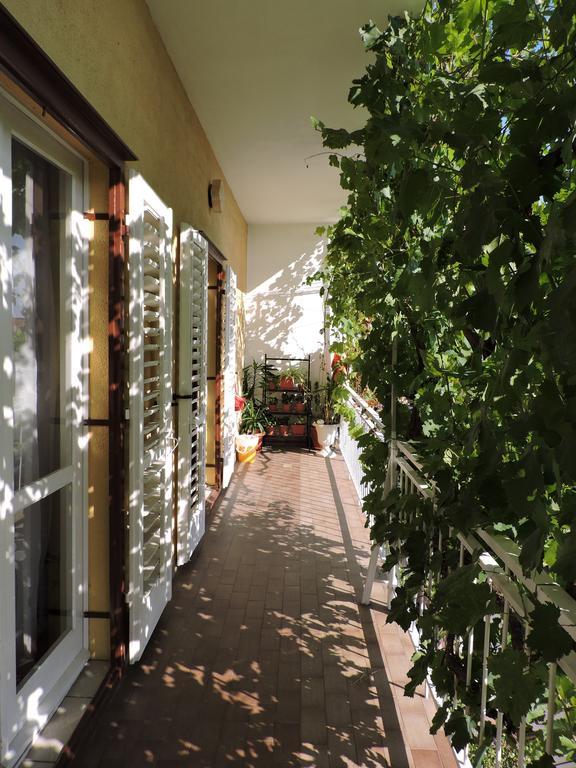 Apartmán Maja